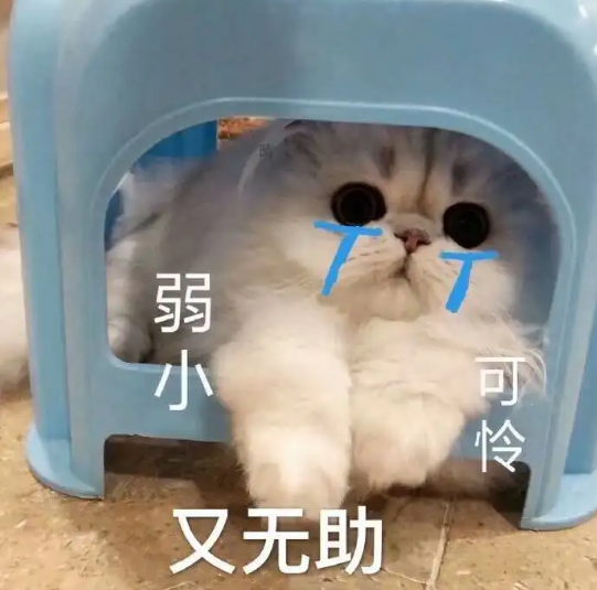 国际快递包裹丢了怎么办？如何赔付？