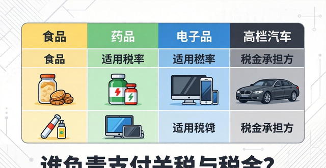 关税支付方式_关税税金支付负责人是谁_
