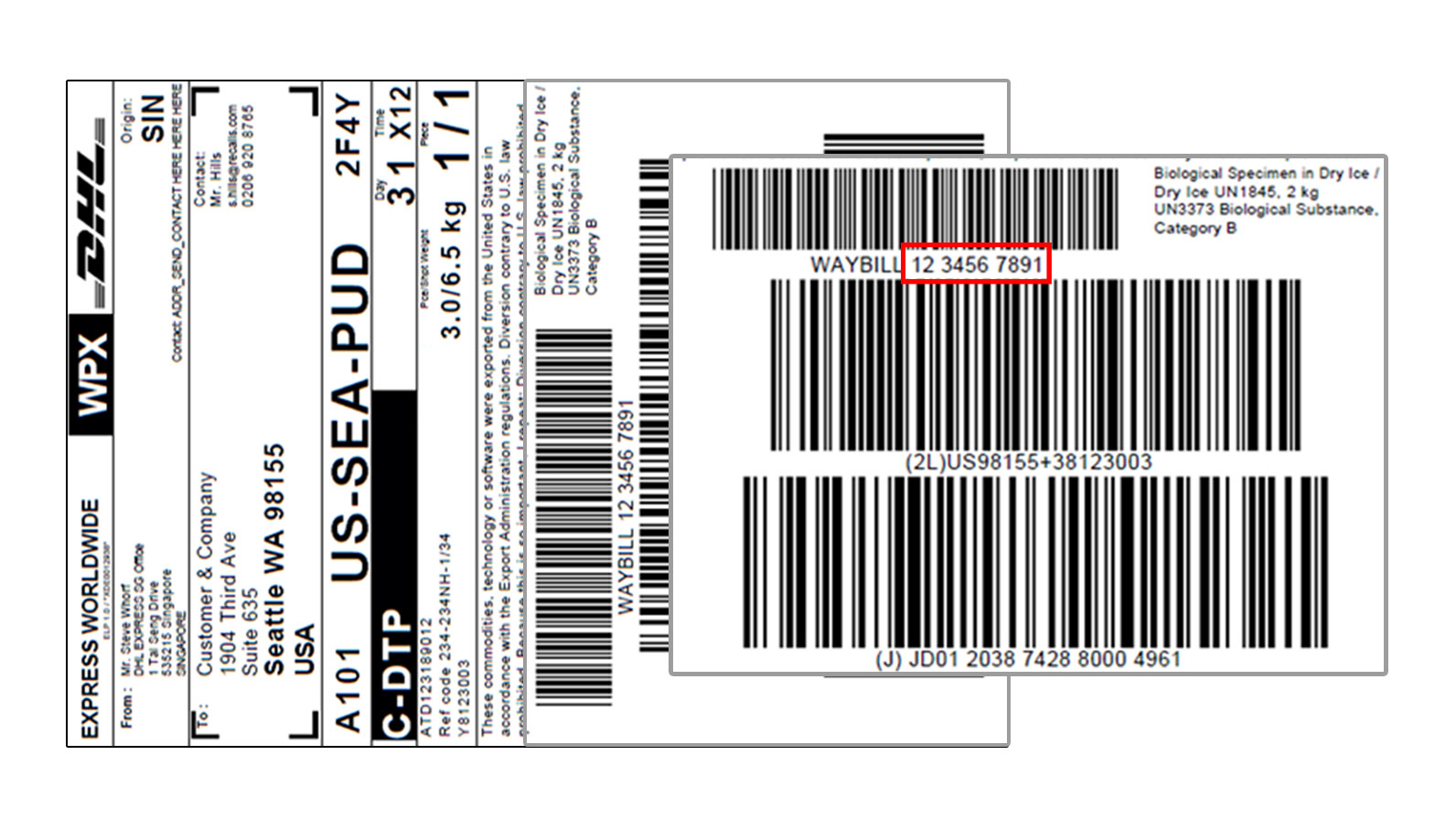 DHL 快件查询号