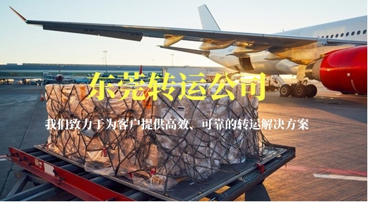 东莞转运公司-让你感受赛车的极限
