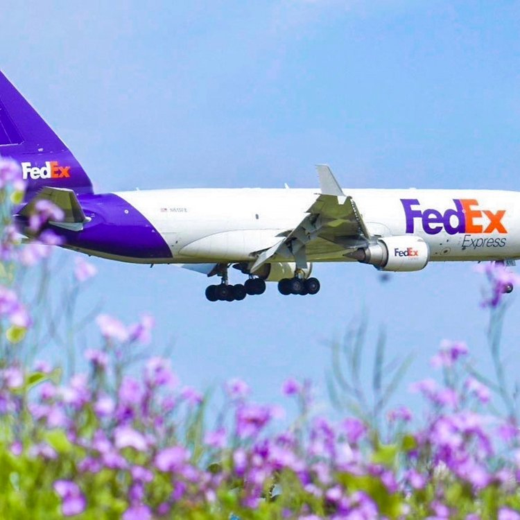 FedEx个人寄件服务-快捷可靠的个人快递寄送服务