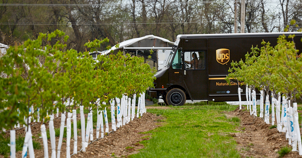 UPS寄送资料准备指南-寄UPS需要的必备文件和信息